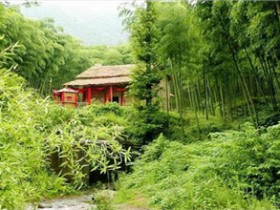 중국 여행이야기 - 安吉 中国大竹海,安吉